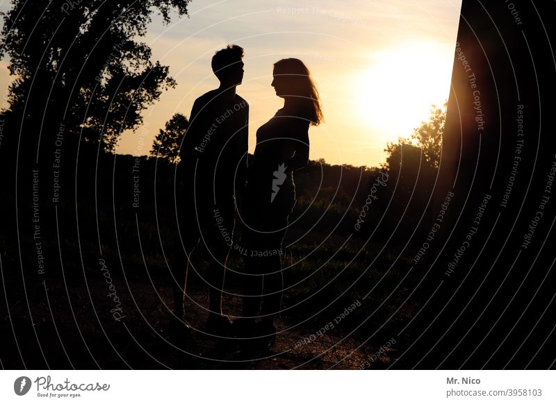 romantic summer evening for two Couple Summer Environment Nature Happy Gold Yellow Sympathy Friendship Infatuation Love Together Romance Silhouette Shadow