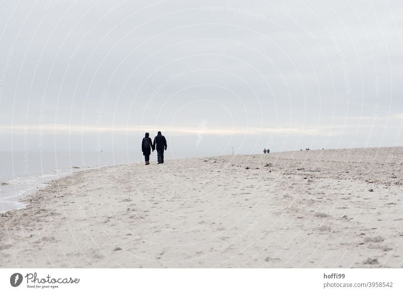 two people walk along the wintry stand. Relationship Silhouette Human being Hiking 2 Sand Beach North Sea coast Partner Together Couple National Park Movement