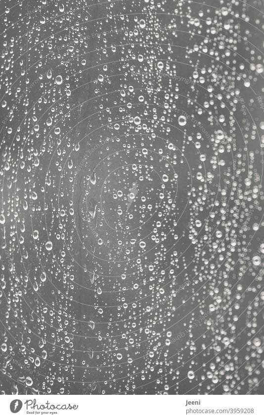 Raindrops run down the window raindrops Drop Window Window pane Glass Pane Drops of water Wet Weather Water Surface rainy Rainy weather Refreshment vital