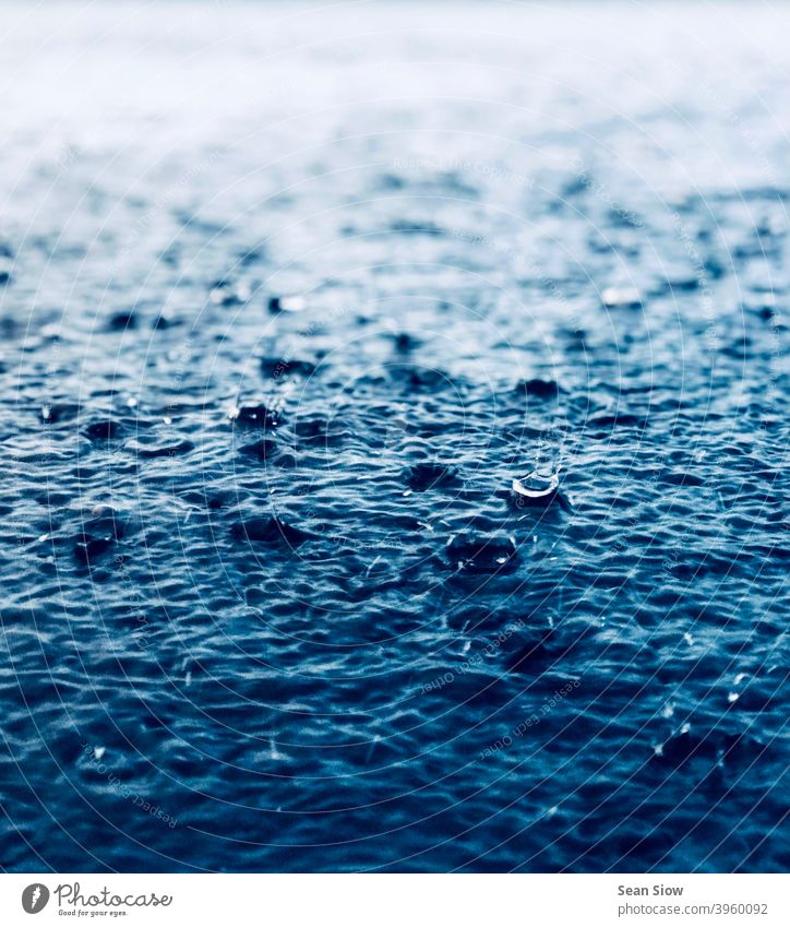 Heavy raining pours down to the ground Wet Rain Cold Water Rainy weather Weather Environment Drops of water Gloomy Day depressingly depressive Bad weather rainy