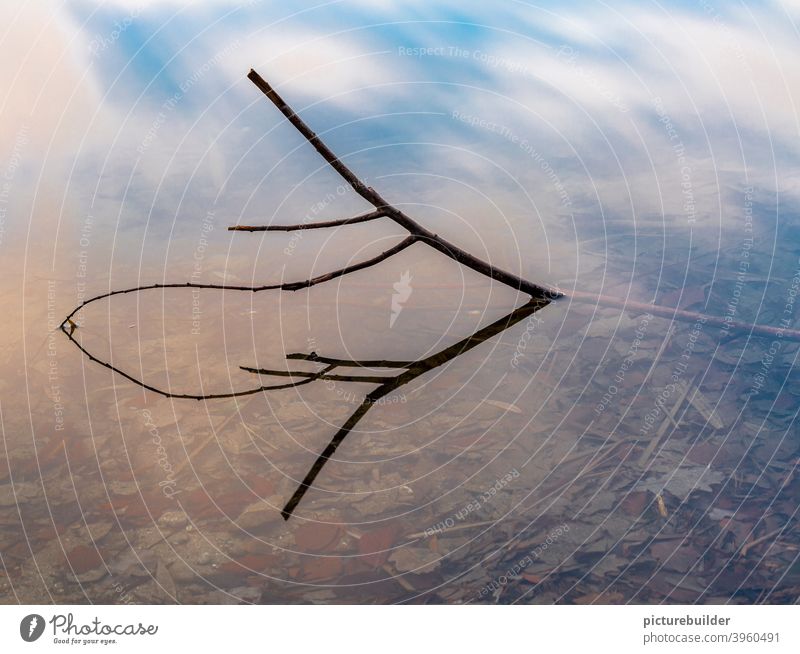 Ein Zweig im Wasser mit Spiegelung See Himmel Laub Natur Ufer Winter Herbst blau sonne Landschaft Pflanze Minimalistisch Ruhe Vergänglichkeit Wolken
