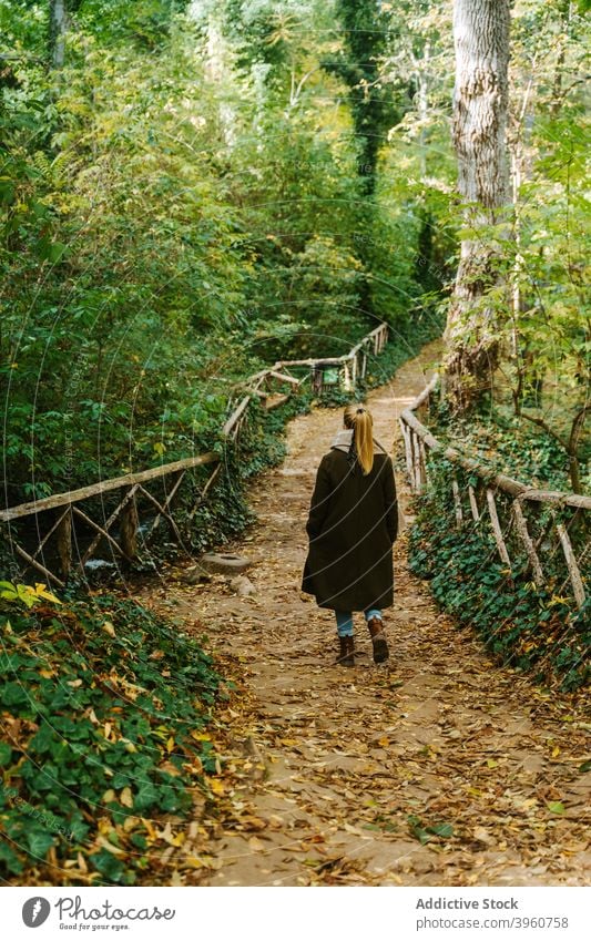 Woman walking on footbridge in woods woman forest autumn weekend stroll season path female wooden nature fall tree harmony serene peaceful enjoy calm tranquil