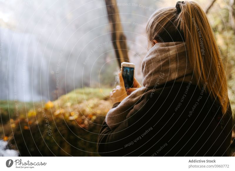 Woman with smartphone in forest near waterfall woman take photo autumn memory nature woods female gadget device cellphone season moment mobile environment stand