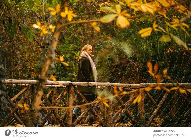 Woman walking on footbridge in autumn forest woman fall footpath admire outerwear wooden female scenery woods peaceful harmony environment silent landscape