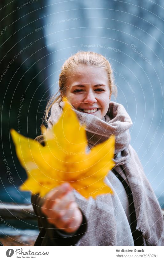 Cheerful woman with maple leaf in nature autumn fall cheerful outerwear delight waterfall female smile warm clothes season joy golden october stand enjoy lady