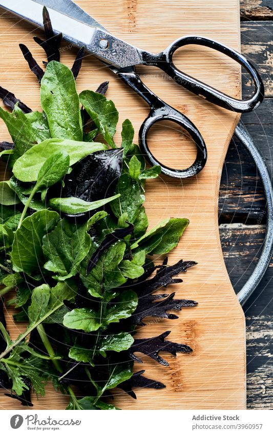 Various herbs on cutting board various greenery basil spinach kitchen fresh scissors wooden chopping board assorted cuisine culinary food organic nutrition