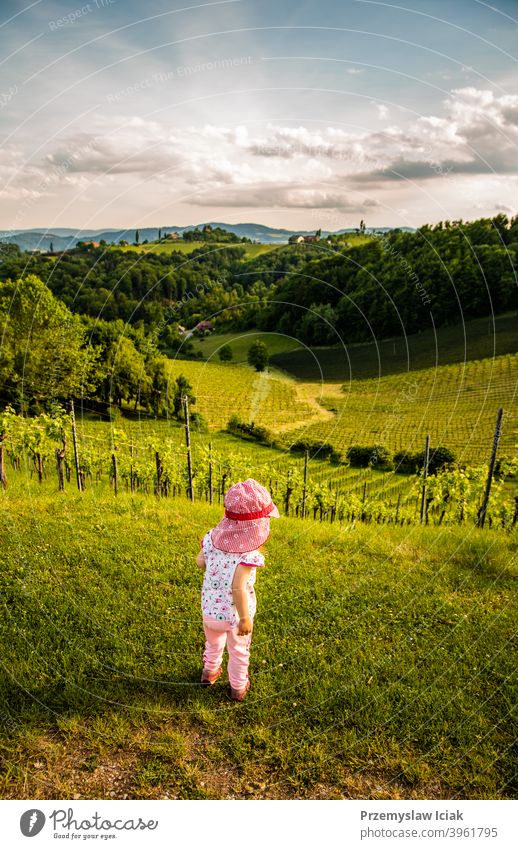 Baby looking at landscape of vineyard baby summer child wine nature candid rural scenery south southern steiermark vineyards hills styria person plant