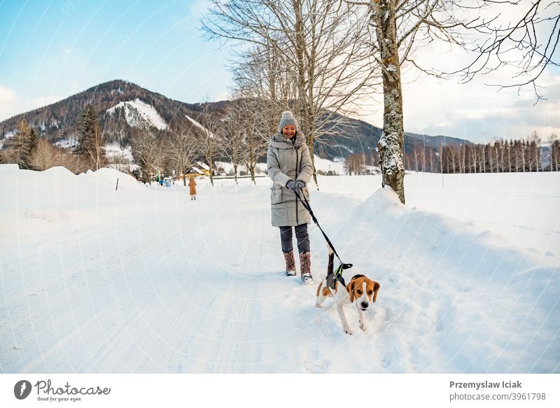 Woman with dog on a walk in winter scenery background tree water candid nature leash alps see scenic peak park natural beagle mountain hiking landscape lake ice