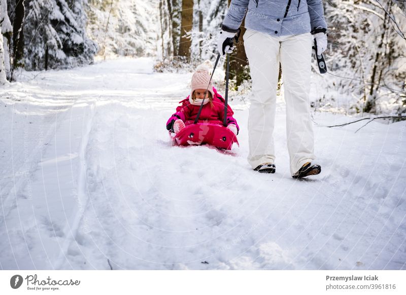 Mother pulling baby on a sled through winter forest. background candid family mother authentic child person girl christmas kid nature snow fun toddler young