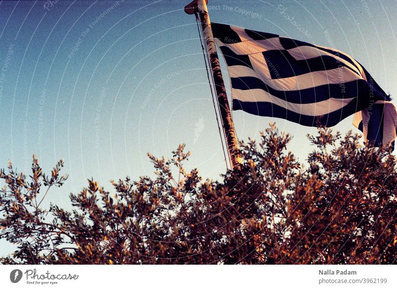Greek flag Analog Analogue photo Colour Exterior shot Greece Flag Flagpole Athens Tree trees Blue White Sky Ensign Judder