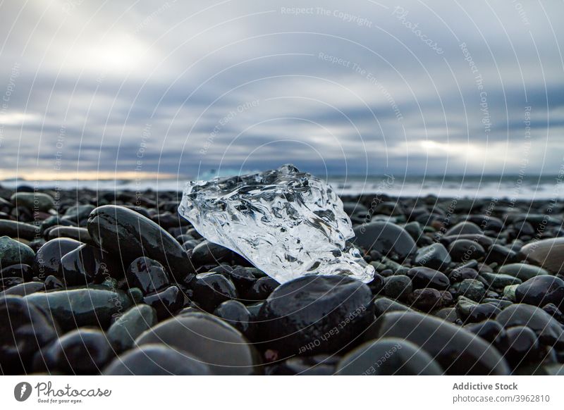 Piece of ice on stony beach in winter piece chunk seashore seaside frozen freeze transparent iceland crystal cloudy sky arctic cold nature wet frost water