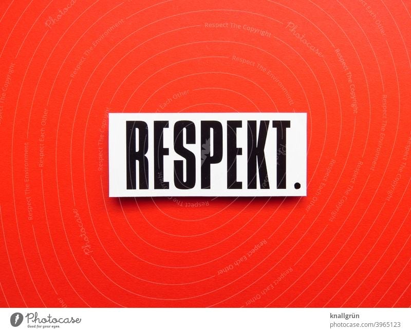 RESPECT. Respect Human being togetherness esteem Moody Emotions Letters (alphabet) Word leap Text letter Latin alphabet Characters Typography Language