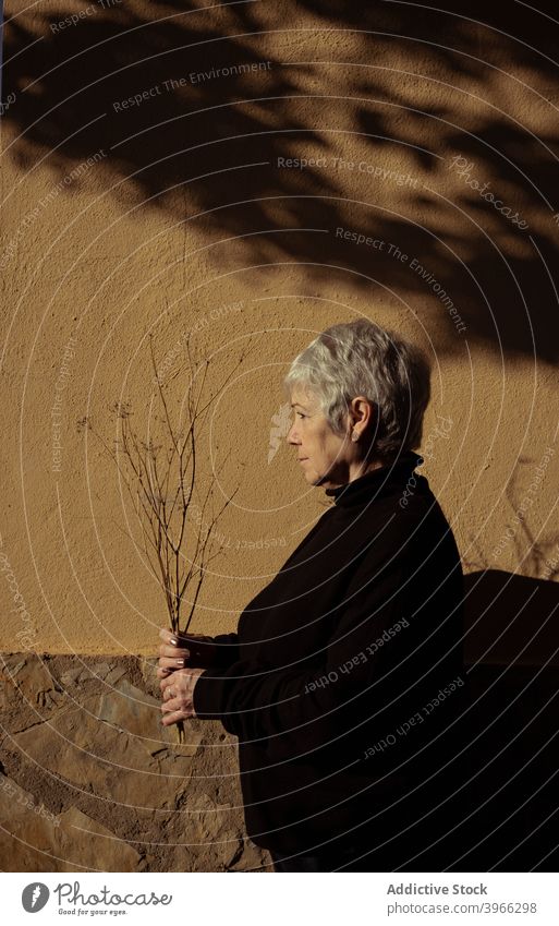 Side view of relaxed senior woman elderly caucasian european lifestyle portrait people relaxing retired serene white hair mother grandmother experiencing