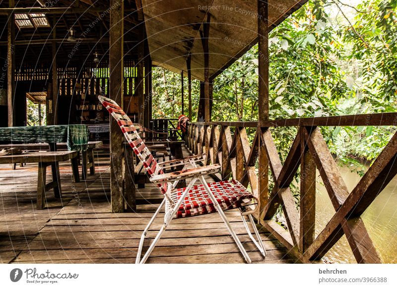 because it is the simple things Life Idyll tranquillity Veranda nostalgically Deckchair Chair Gorgeous Nature especially Landscape Virgin forest Deserted River