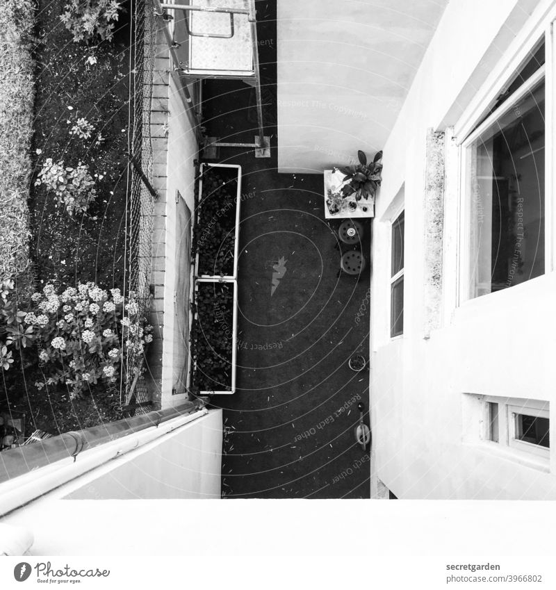 the window to the courtyard. Canyon depth Deep Deserted Architecture Black & white photo Interior courtyard Exterior shot House (Residential Structure) Facade