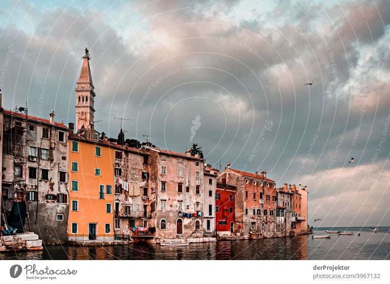 Historical old town of Rovinj relaxation Esthetic coast Adriatic Sea Island Deep depth of field Colour photo Exterior shot Vacation destination Old town
