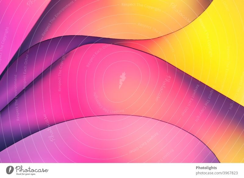 Lines on pink purple yellow purple background shape Curved Red Blue Violet Paper Round Colour photo Studio shot Close-up Multicoloured Pattern