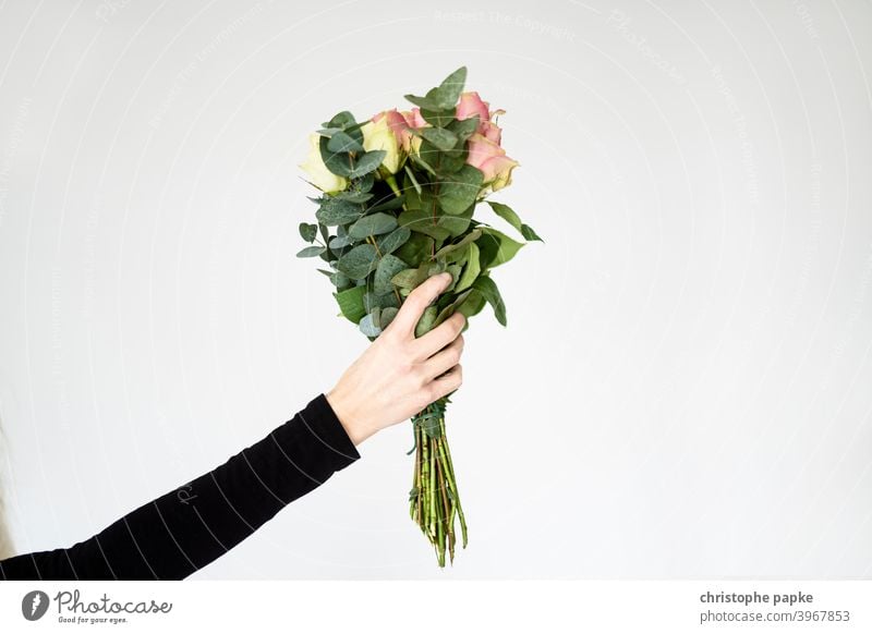woman holding bouquet of flowers Close-up Colour photo Donate Pink pink Valentine's Day Mother's Day Blossom Love Plant Gift Flower Bouquet Woman stop Hand hand