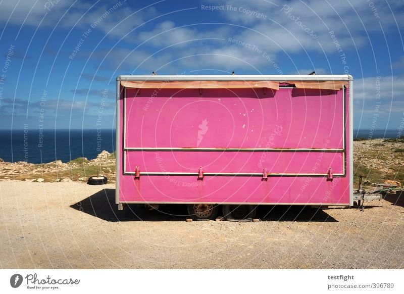pink gorilla (closed) Tourism Summer Sun Workplace Gastronomy Company Nature Landscape Sky Ocean Street Trailer Shopping Communicate Sell Calm Loneliness