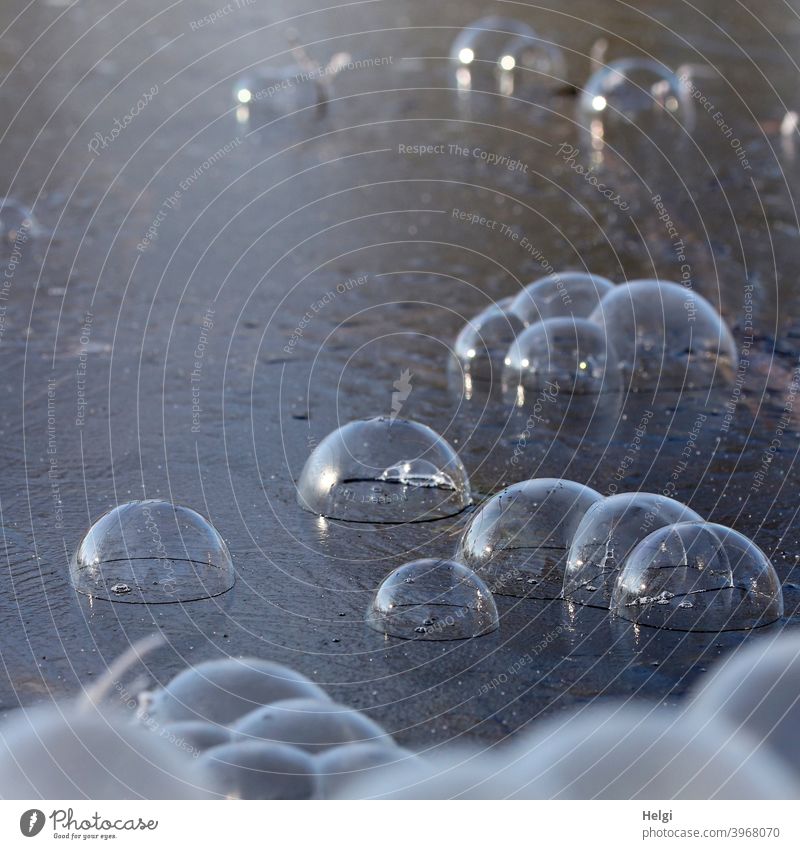 Bubonic plague on the village pond ;-) - Soap bubbles landed on an ice surface soap bubbles Winter Ice Frost chill Frozen surface Lie frozen disembarked Gimmick
