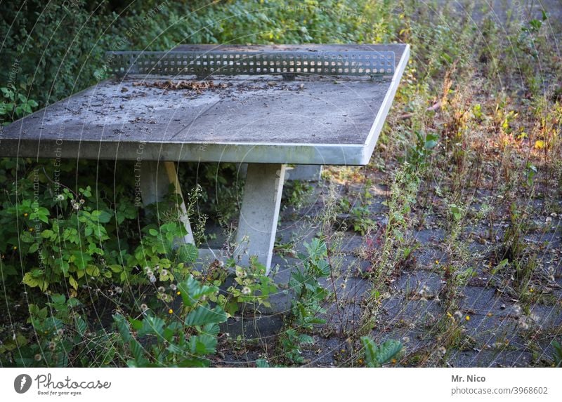 OutdoorTableTennis Table tennis Table tennis table Leisure and hobbies Sports Ball sports Net Green Old worn-out Gloomy Weed Unkempt overgrown Wilderness Nature