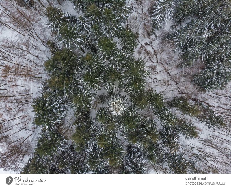 Winter landscape at the Odenwald near Lampenhain. winter snow ice cold frozen abstract aerial drone aerial view nature odenwald lampenhain europe germany field