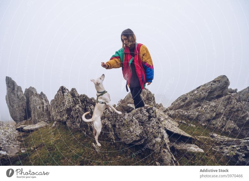 Woman feeding dog in mountains woman treat food owner together highland friend female pet animal canine domestic nature white fur fluff mammal loyal adorable