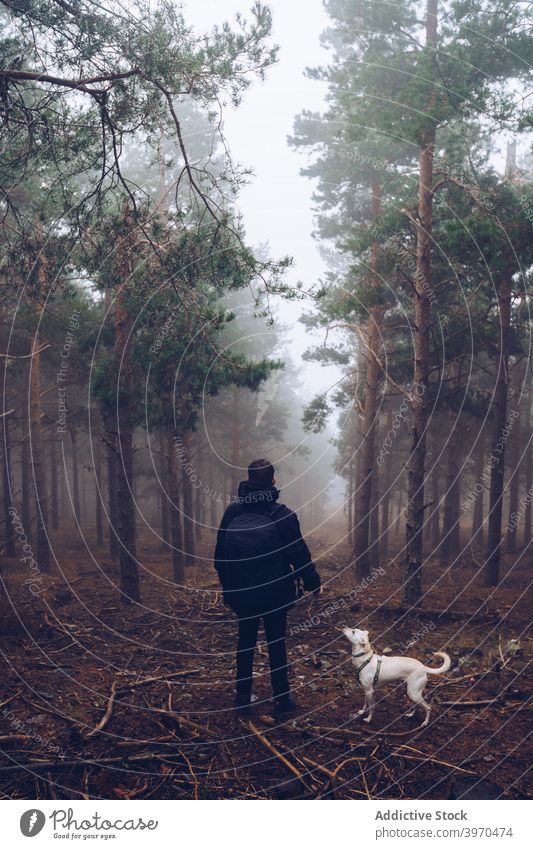 Man walking in autumn forest with dog nature companion tranquil woods canine gloomy fog animal harmony dull unrecognizable man male faceless overcast path