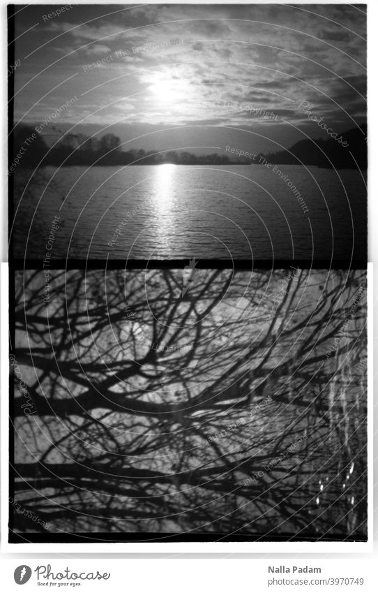 Cityscape Duet 3 Analog Analogue photo black-and-white half format Diana Mini Water Kemnader Reservoir Sun Sunset Sky Clouds two pictures branches trees