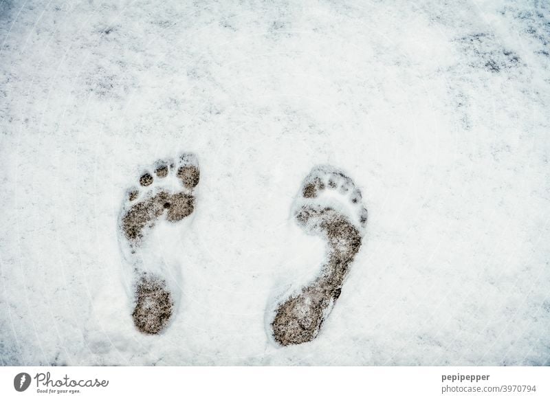 Cold feet - barefoot in the snow Feet up Naked Snow Barefoot run barefoot barefoot path Toes Exterior shot cold feet get cold feet Colour photo Freeze Frost