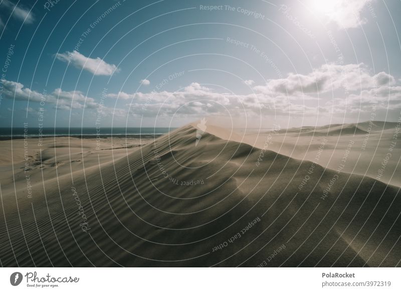 #AS# Thin wide Sand duene Sunlight Hot windy Waves Desert Nature Adventure Deserted Dry Uniqueness Landscape Far-off places Sandy beach Sandstorm Drought Summer