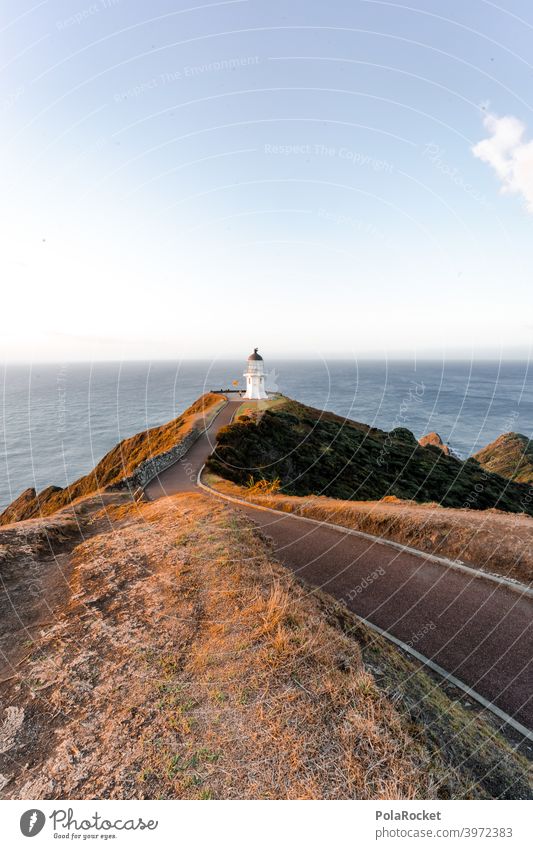 #AS# Cape Reinga Cape Reinga Lighthouse cape reinga New Zealand North Freedom Adventure Sunset Deserted End Vantage point Waves Far-off places coast Ocean