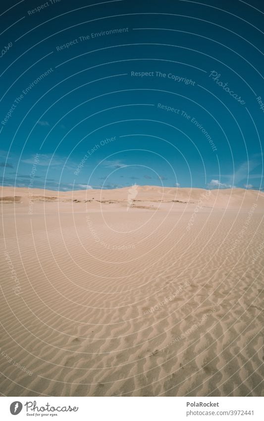 #AS# Sand Sea Desert duene Wind Waves Beach Beach dune Vacation & Travel Ocean coast Nature desert landscape desert sand Desert road dune landscape Sky