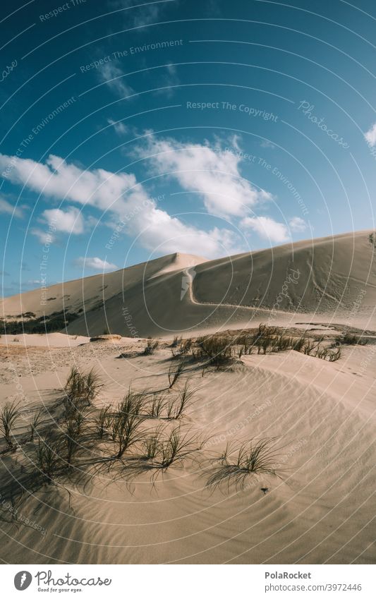 #AS# Sand Arena Desert duene Wind Waves Beach Beach dune Vacation & Travel Ocean coast Nature desert landscape desert sand Desert road dune landscape Sky