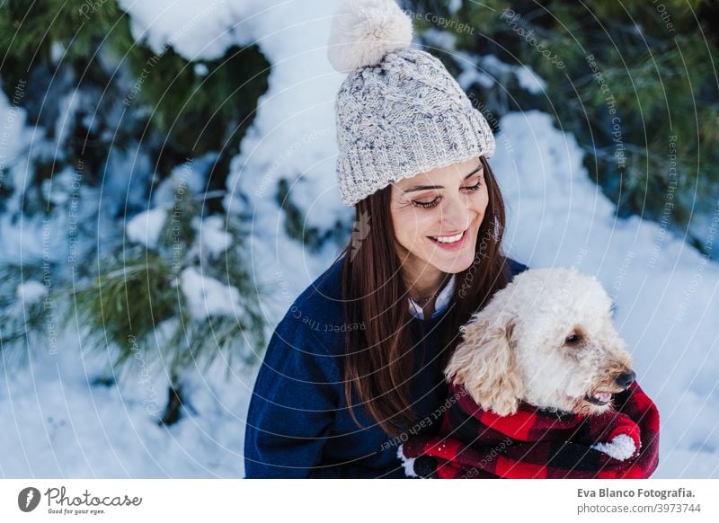 beautiful woman in snowy mountain Holding cute poodle dog in arms wrapped in plaid blanket. winter season. nature and pets travel owner love together back view