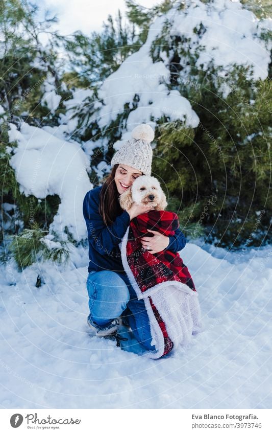 beautiful woman in snowy mountain Holding cute poodle dog in arms wrapped in plaid blanket. winter season. nature and pets travel owner love together back view