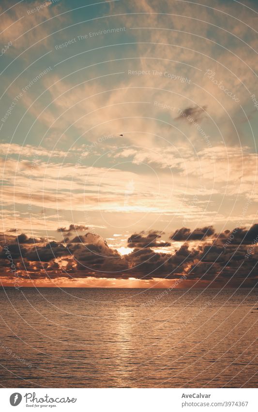 Majestic sun flares coming through the clouds during a sunset over the ocean on orange tones and with copy space heaven cloudscape ray spiritual sunbeam