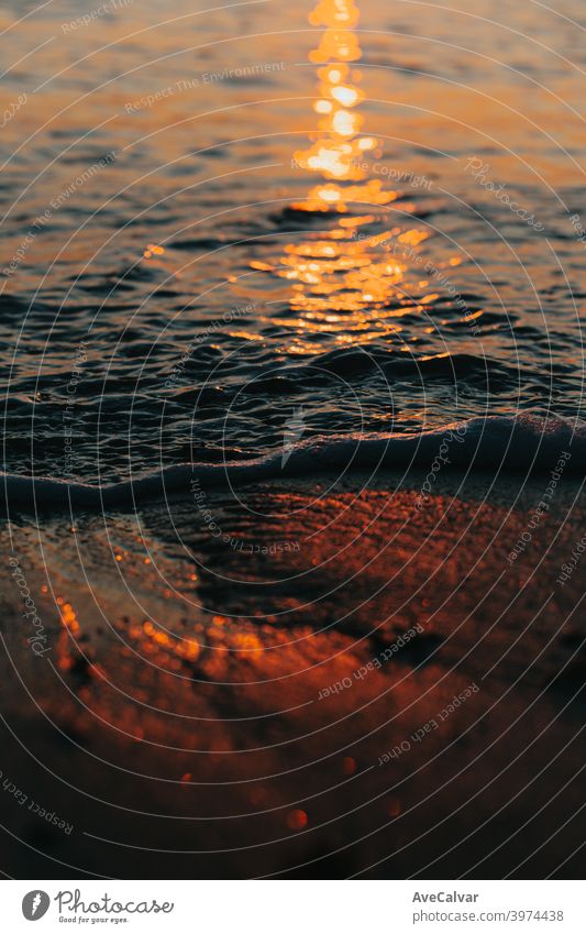 A close up of a tide during a sunset with super texture and colorful tones with copy space ocean reflection sunrise wave copy-space horizontal peaceful