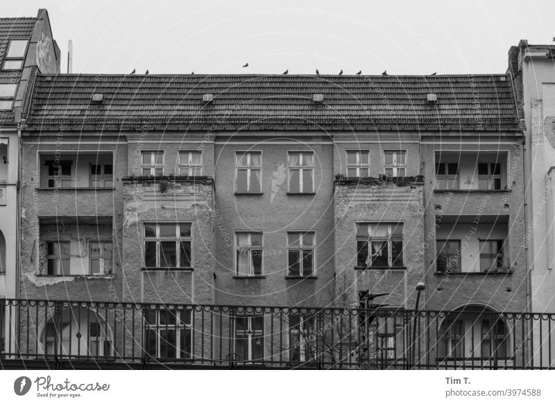Old building Schönhauser Allee Prenzlauer Berg Berlin b/w Capital city Deserted Old town Downtown Exterior shot Town House (Residential Structure) Day