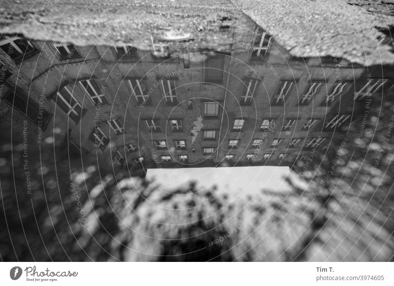 a puddle on a backyard in Prenzlauer Berg Town Berlin Backyard Courtyard Deserted Downtown Day House (Residential Structure) Capital city Old town Exterior shot