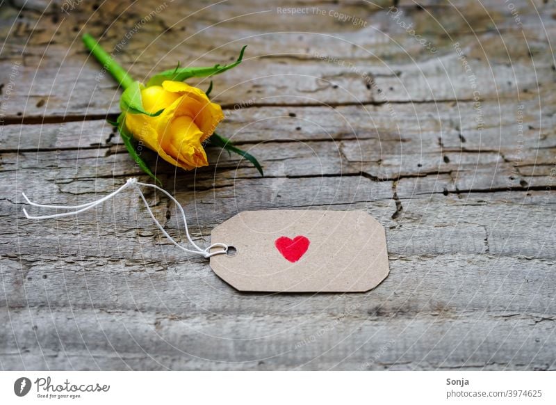 A heart on a label and a yellow rose on a wooden table Label Heart Red pink Yellow Valentine's Day Mother's Day Love Flower Colour photo Feasts & Celebrations