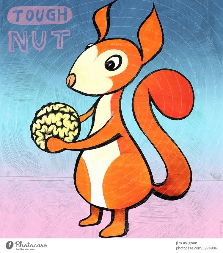 hard nut Squirrel Cute Nut Hard issue Problem solving brain illustration Art