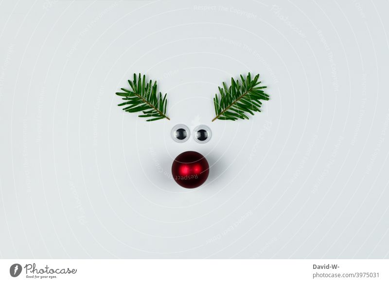 Christmas - fun christmas decoration Christmas decoration Funny Rudolph wittily Christmas & Advent Cute Reindeer Christmassy Christmas card christmas greetings