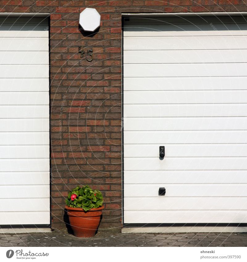 summer holidays Flower Building Garage Wall (barrier) Wall (building) Facade Garage door Flowerpot Digits and numbers Idyll Living or residing Colour photo