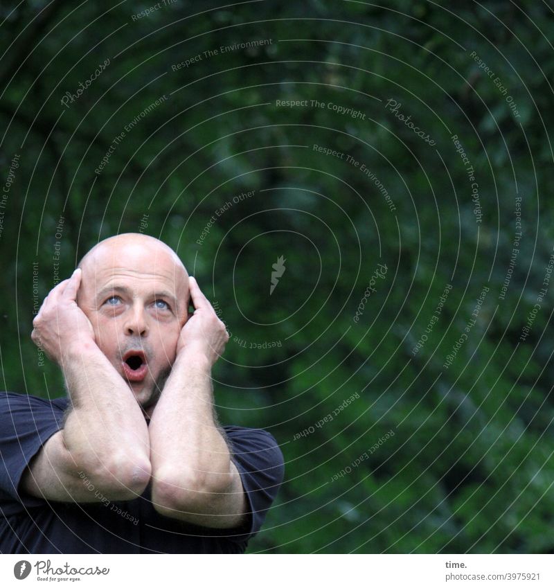 The surprise Man astonishment Arm stop portrait Park Green Hedge Surprise astonished Bald or shaved head Exclamation Upward