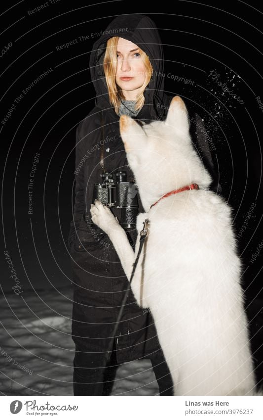 Blonde girl is playing with her white Akita-Inu dog. It’s a cold winter night. A beautiful woman is feeling the freezing temperature as her cheeks are getting red. For some reason, she also has binoculars on her neck.
