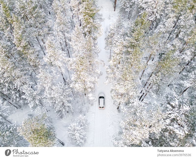 White car in snowy forest from above winter nature season tree aerial cold weather frost landscape view white wood outdoor ice background drone environment