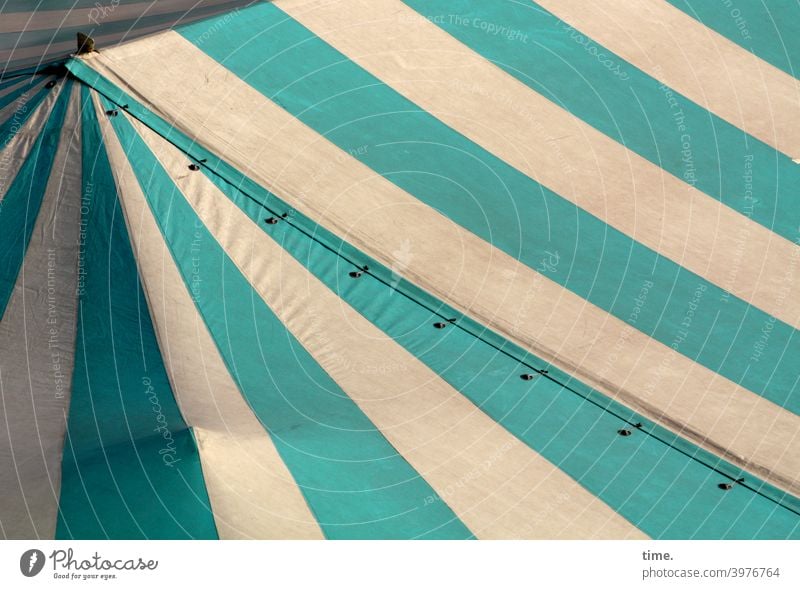 Strip with bend and bump tent roof tarpaulin canvas Stripe lines Tent Green White Eyelet obliquely Diagonal sunny Shadow Market day Bend Covers (Construction)