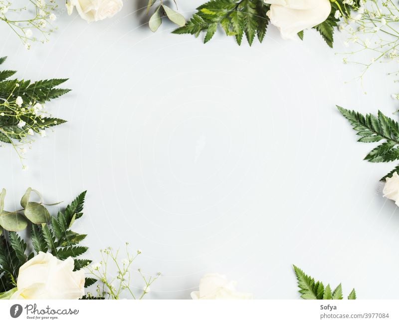 Floral arrangement frame with white roses and fern mockup anniversary valentine flat lay holiday background flowers floral trendy bunch greeting card gray