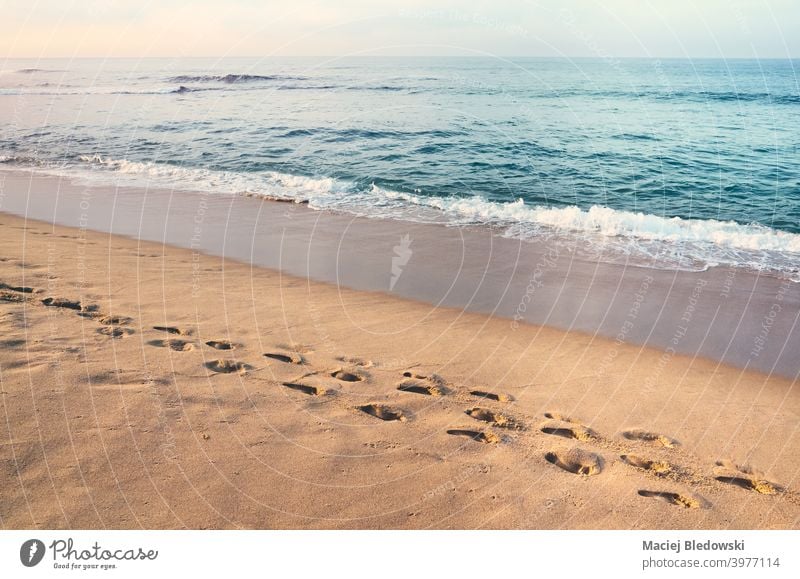 Footprints on a sandy tropical beach at sunset. footprint peaceful calm vacation sea water summer retro ocean sunny step coast outdoor relax wave shore track